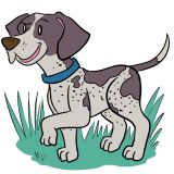 german-shorthair-pointer-web