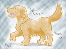 goldenretriever083119
