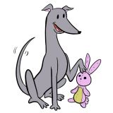 greyhound-web