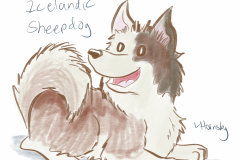 081719icelandicsheepdog