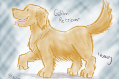 goldenretriever083119